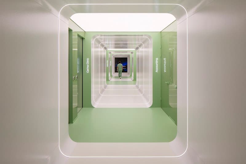 Hair of Istanbul | Hair Transplant Clinic