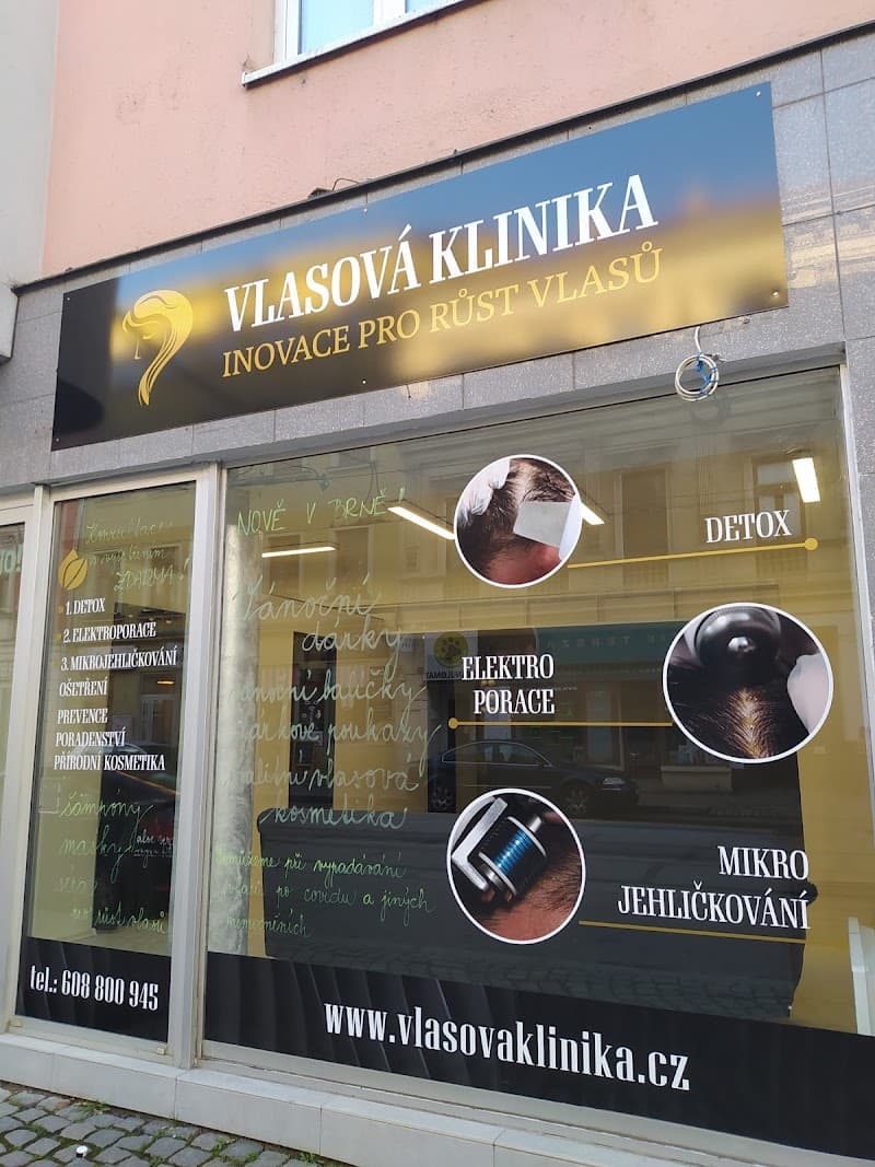 Vlasová klinika