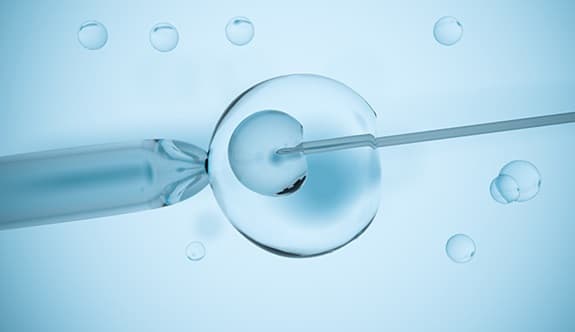 Dr. Mehmet Koç IVF Clinic | Tüp Bebek Merkezi | IVF Center