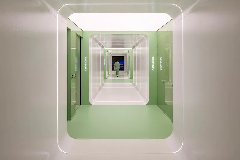 Hair of Istanbul | Hair Transplant Clinic