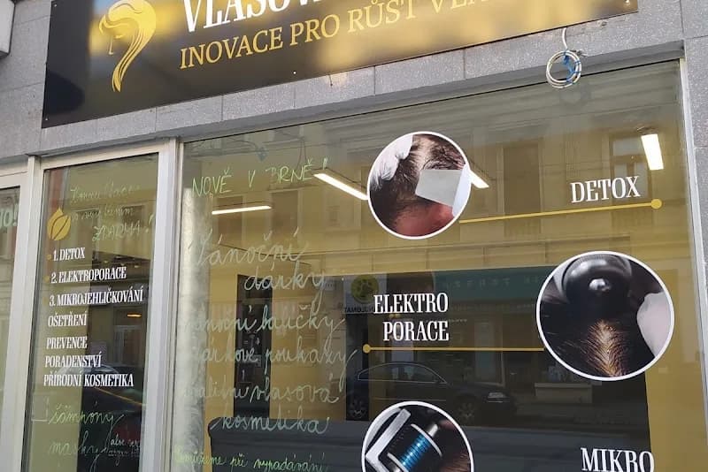 Vlasová klinika